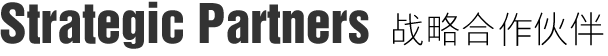 戰(zhàn)略合作伙伴